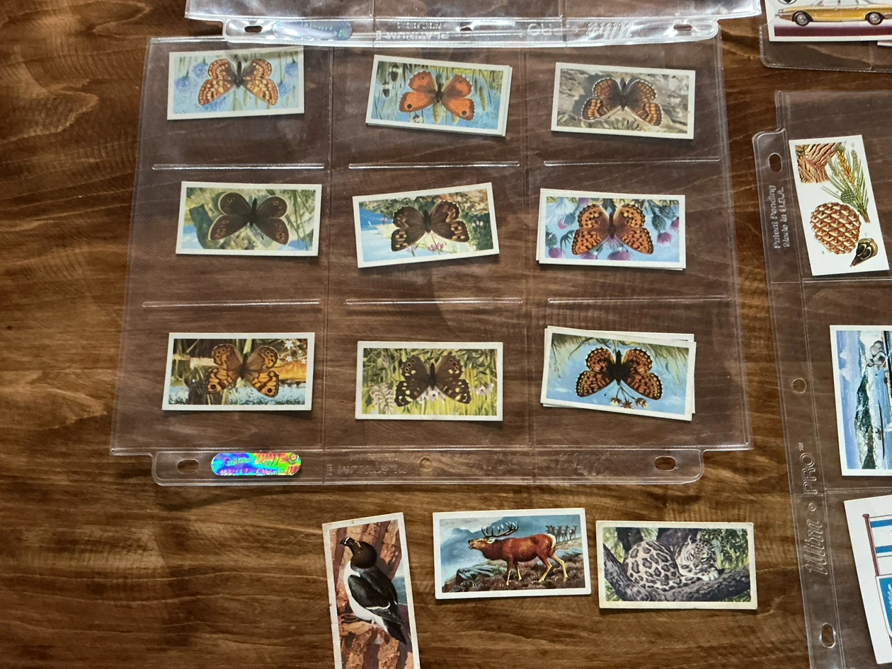 49 BROOKE BOND TEA 1954 Collectible Trading Cards - photo 3