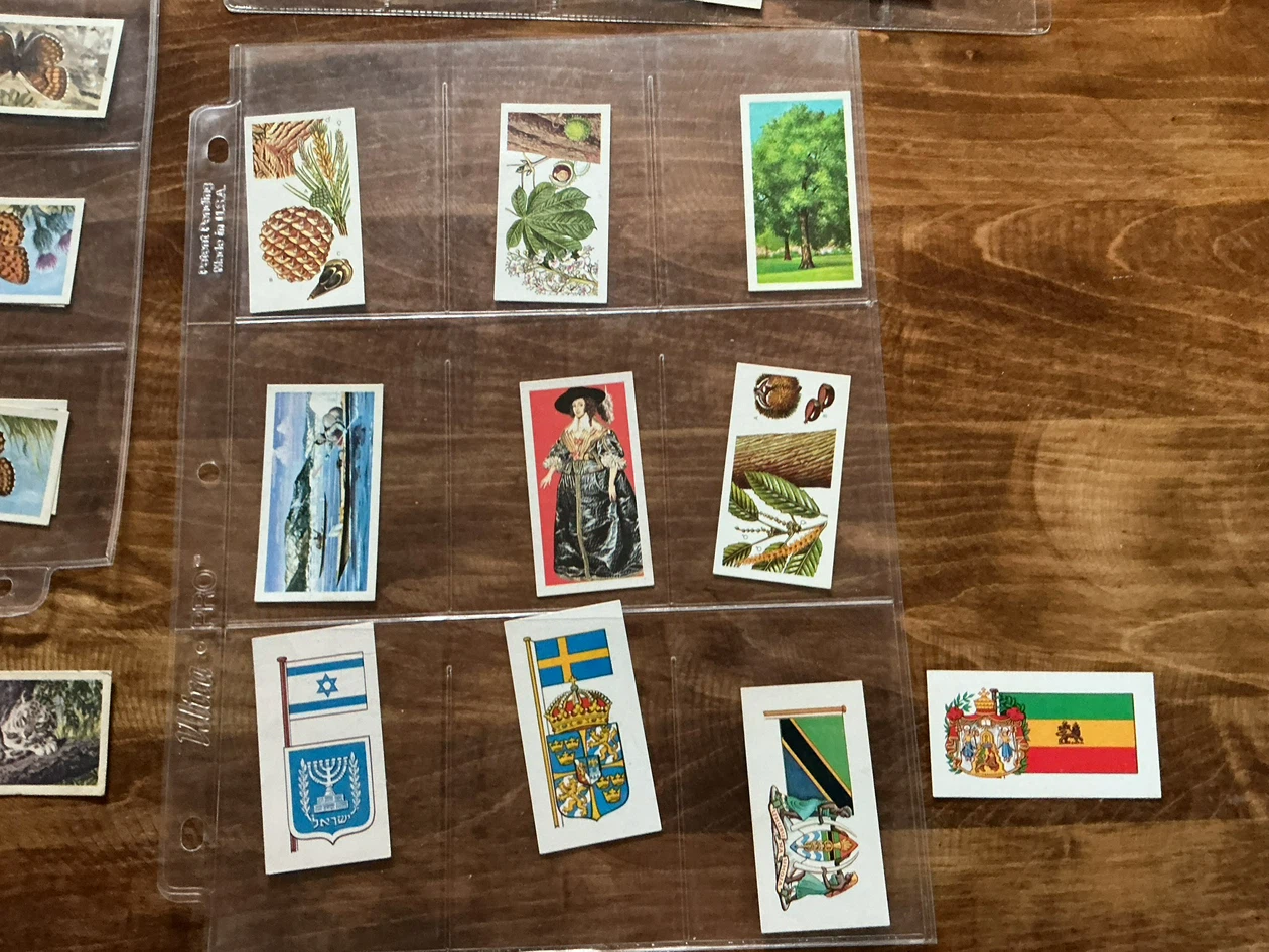 49 BROOKE BOND TEA 1954 Collectible Trading Cards - photo 5