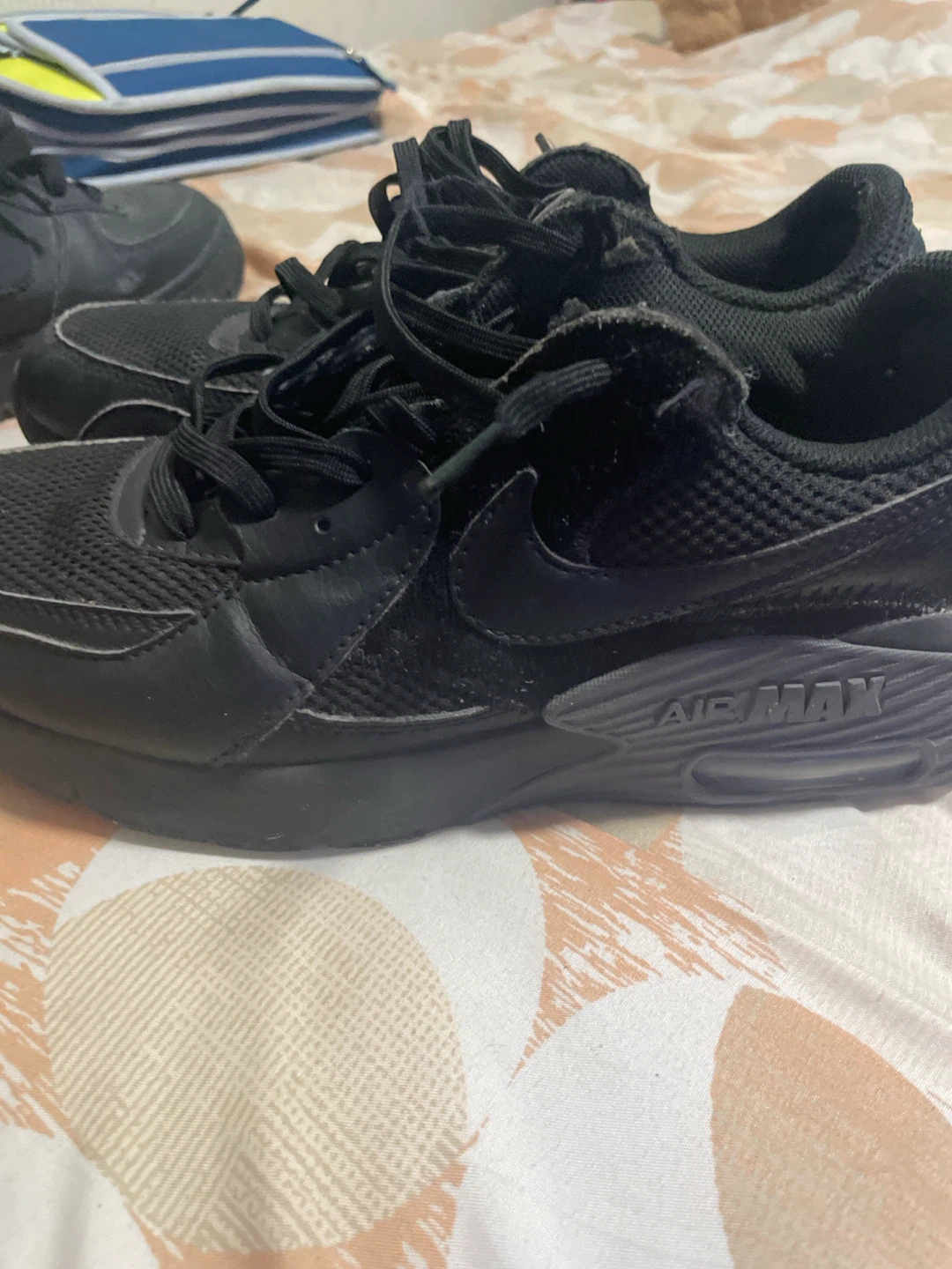 Nike Air Max Shoes