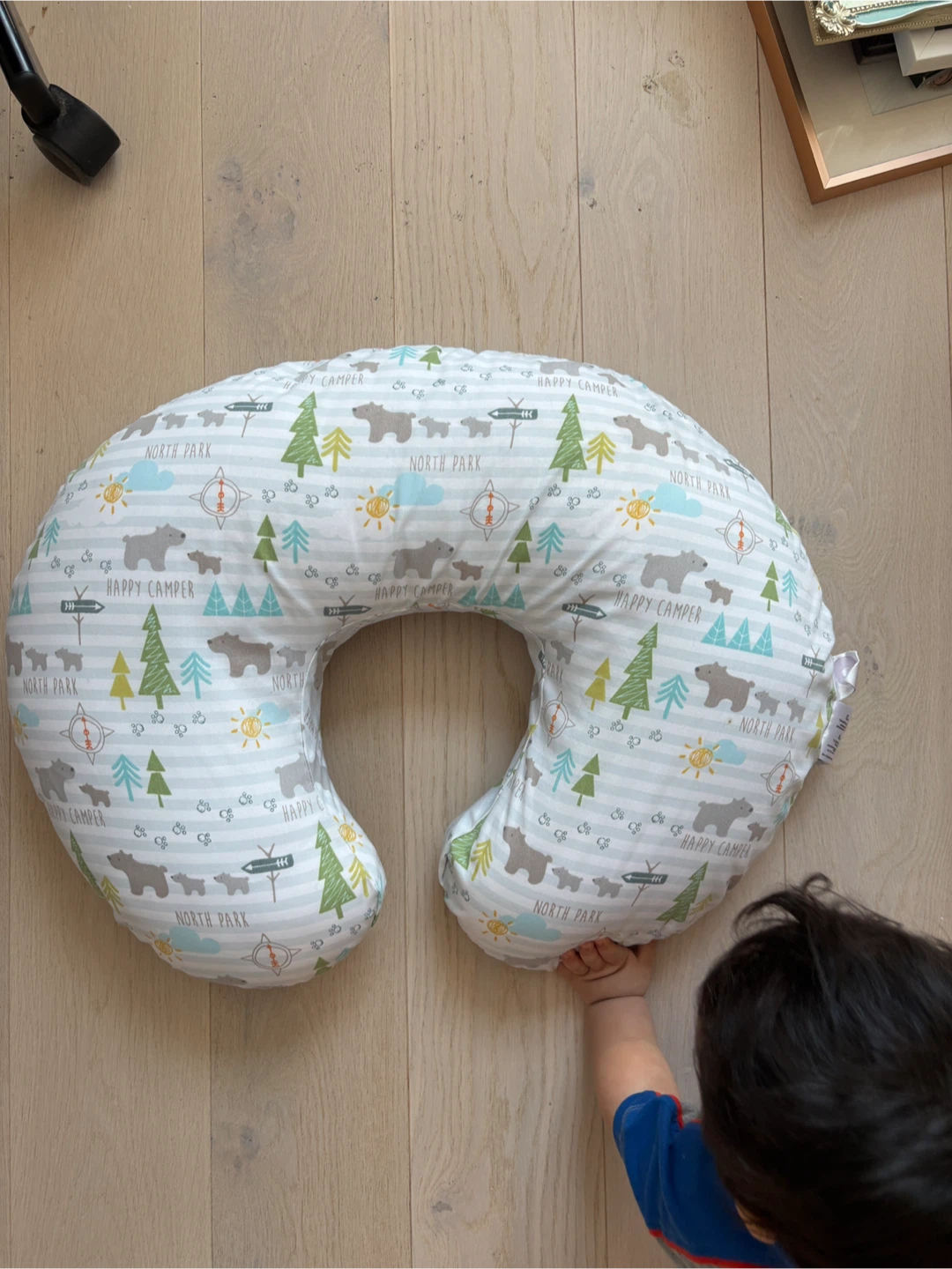 Boppy Nursing Pillow