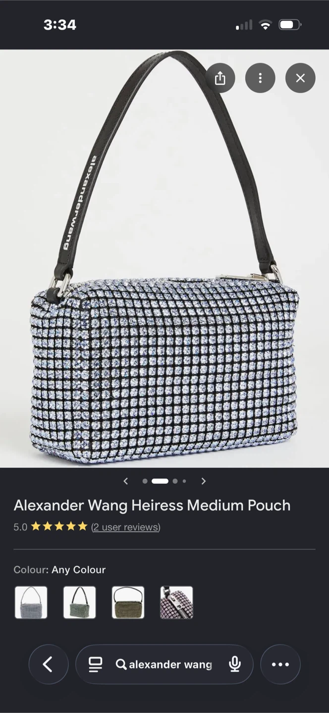 Alexander Wang Heiress Medium Pouch Clutch Bag - photo 5