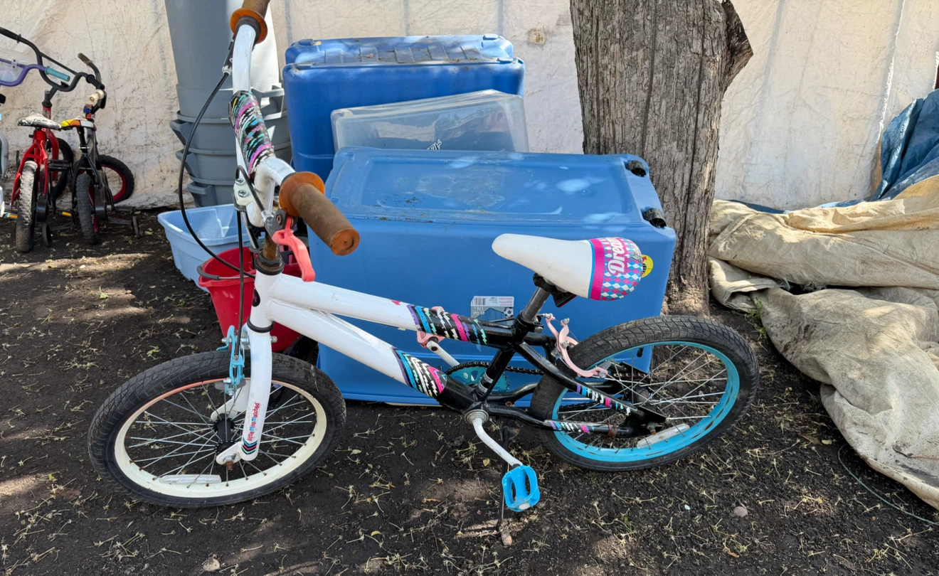 Hearts BMX and other 20" bikes-Posting #2 - photo 5