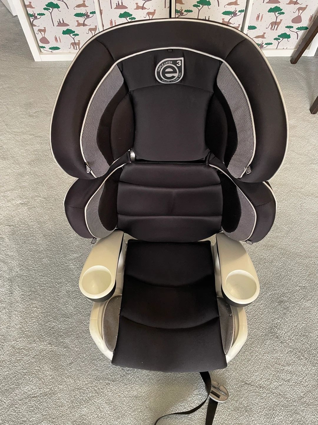Evenflo Booster Car Seat