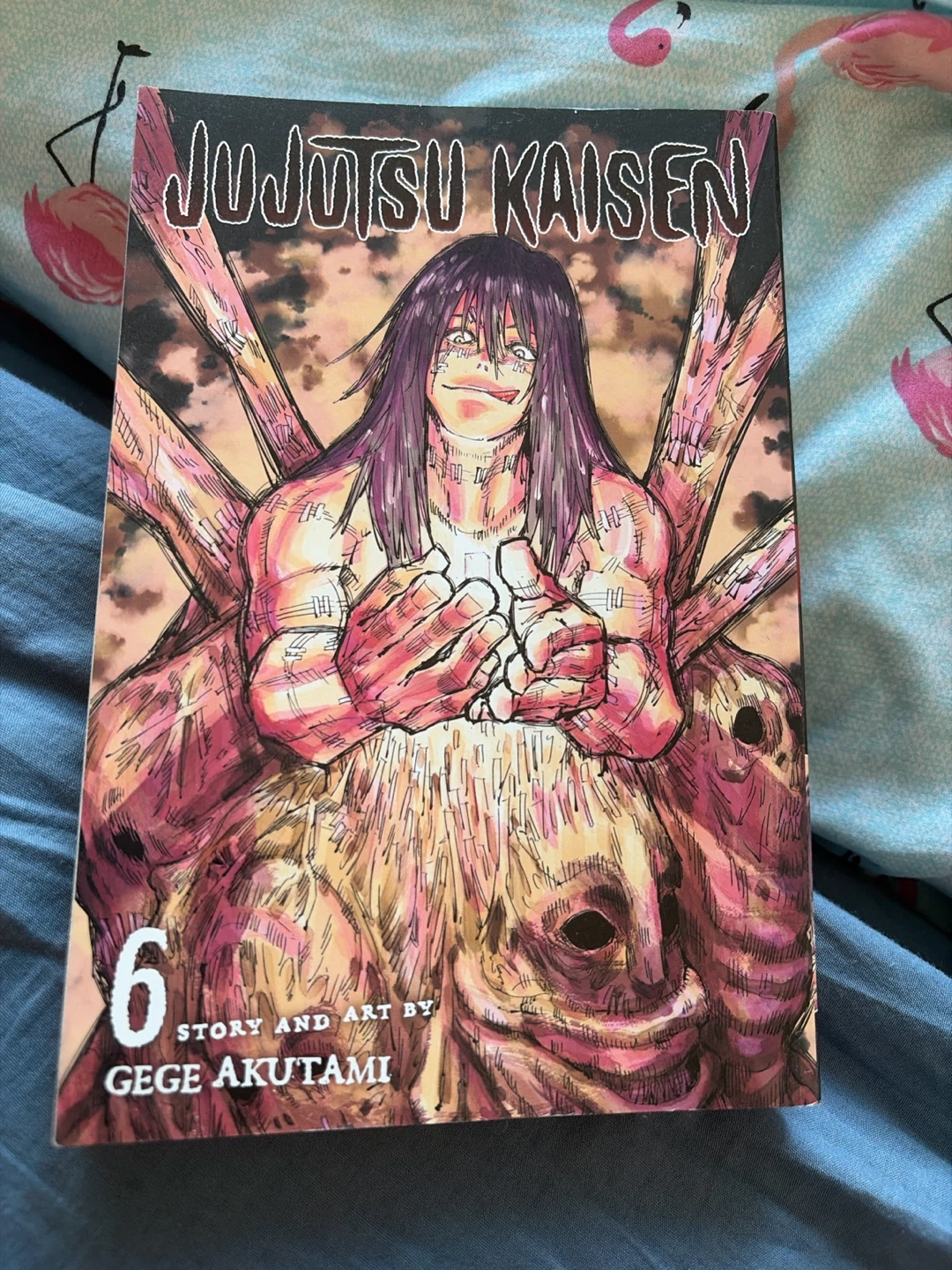 Jujutsu Kaisen Vol. 6 Manga