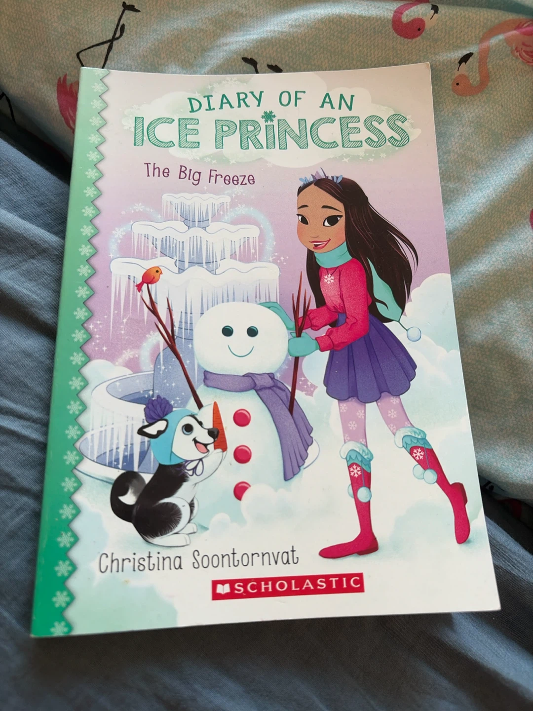 Diary of an Ice Princess: The Big Freeze Book
