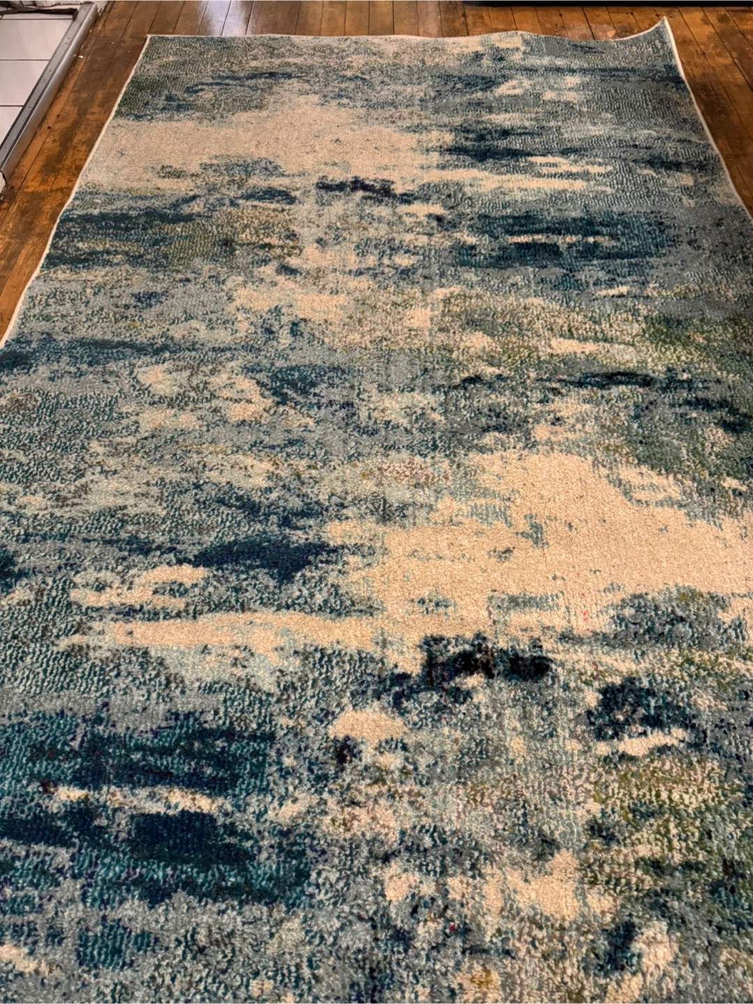 4' x 6' Area Rug - photo 3