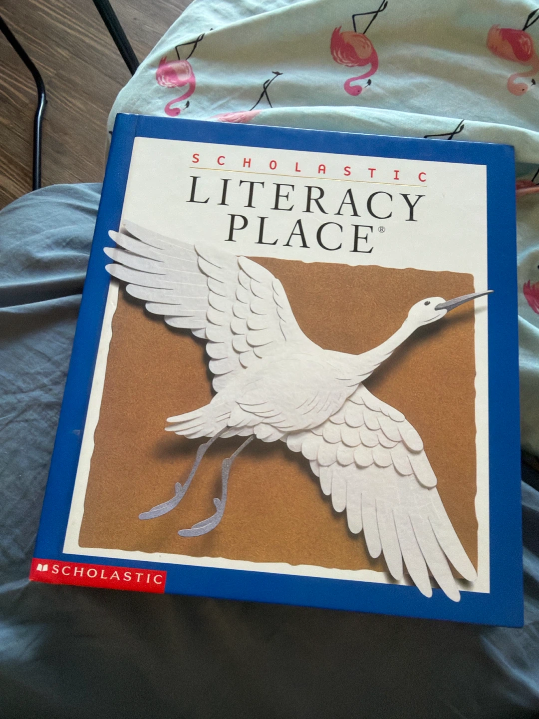 Scholastic Literacy Place Book