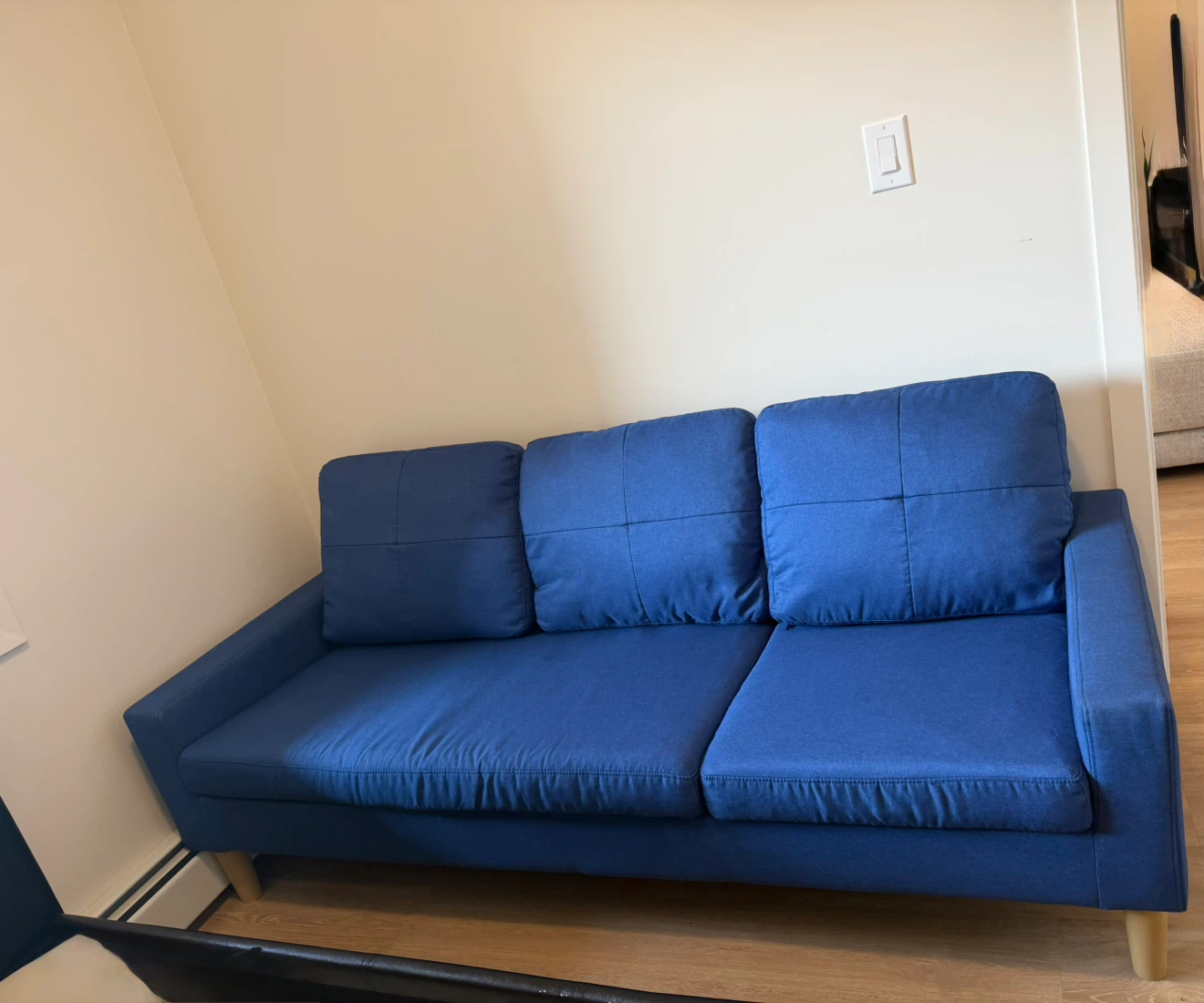 Blue Sofa - photo 2