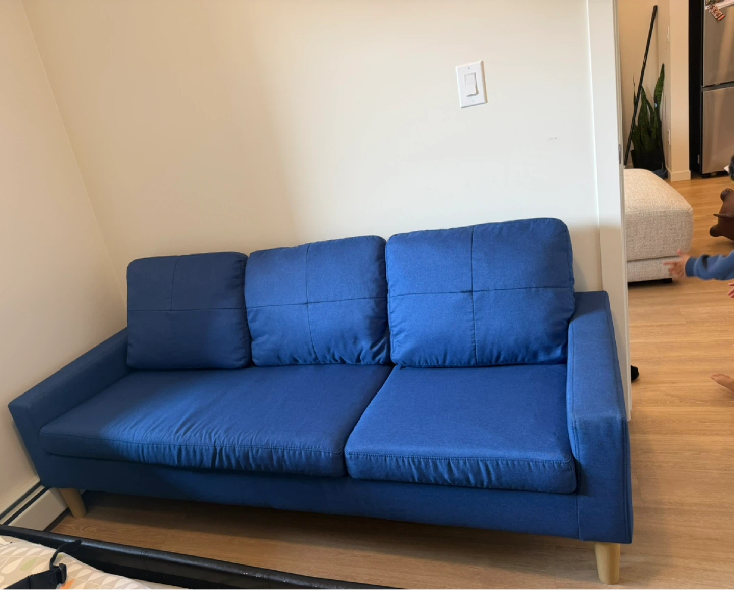 Blue Sofa - photo 3