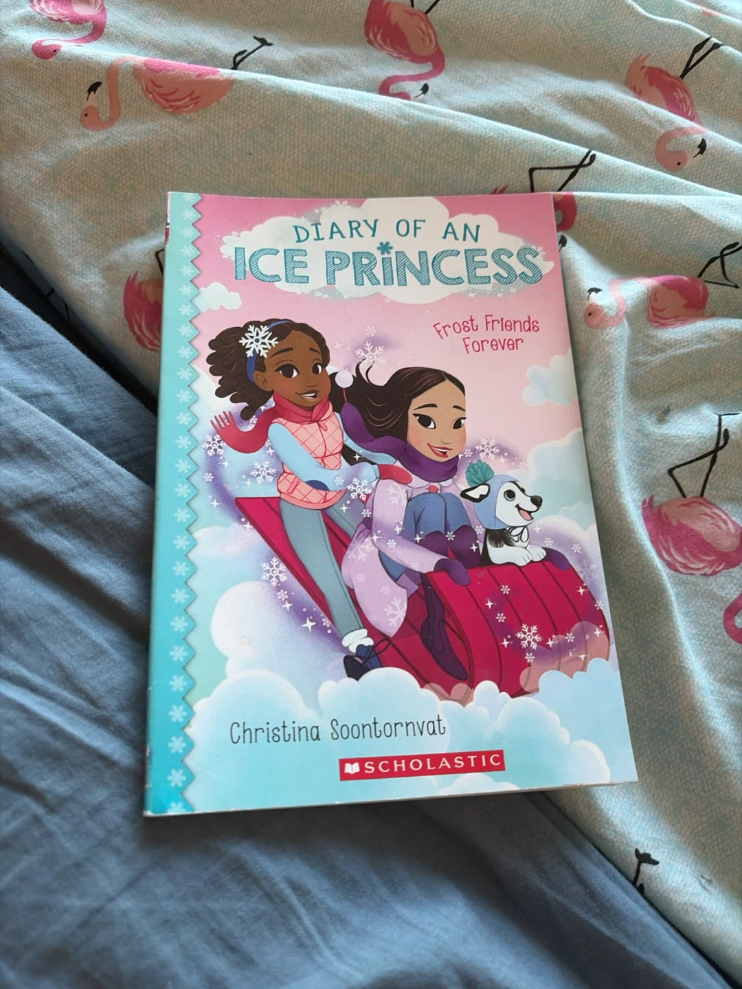 Diary of an Ice Princess: Frost Friends Forever Book