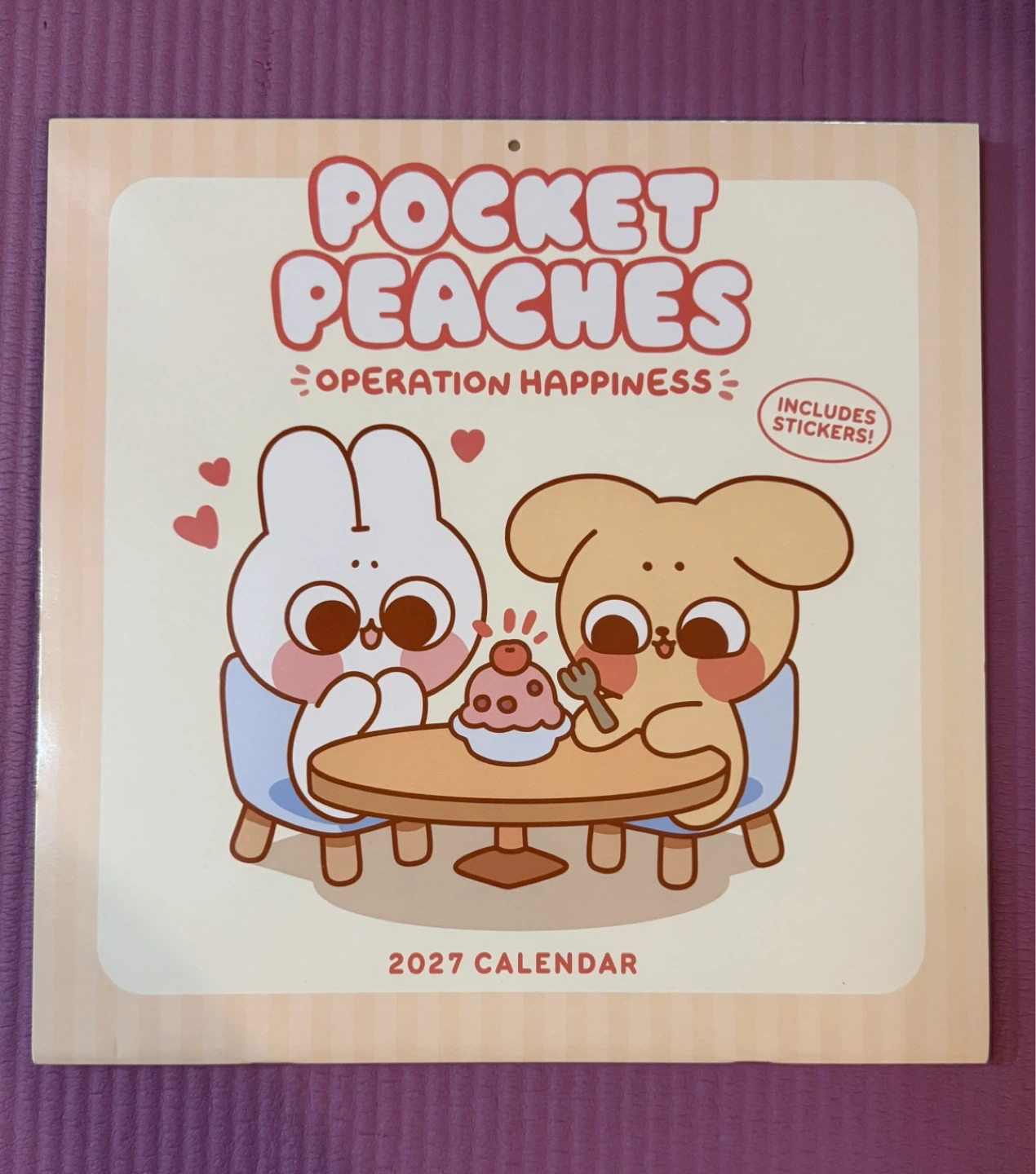 NEW✨2027 Wall Calendar with Stickers
