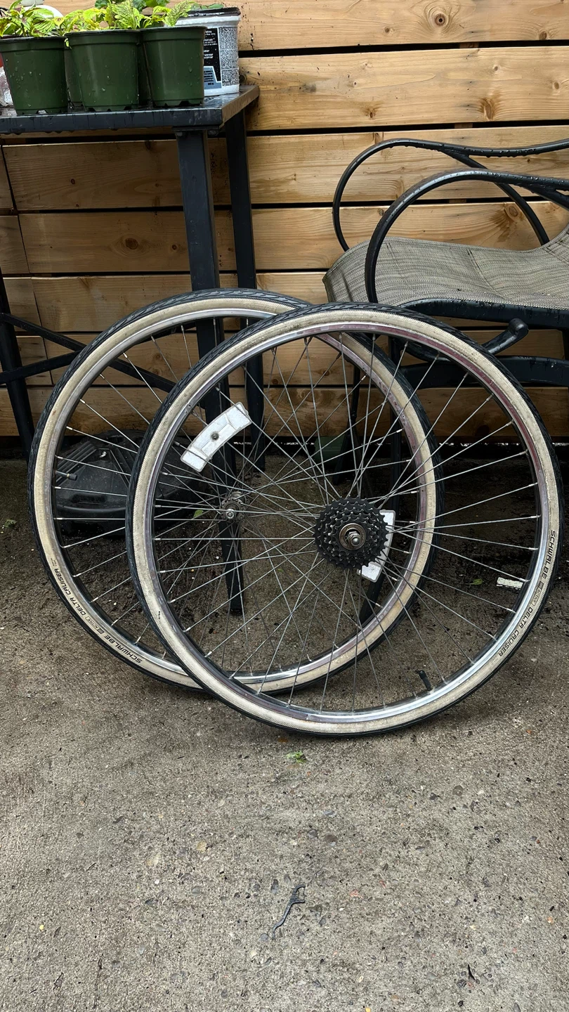 Schwalbe Delta Cruiser Bicycle Wheels