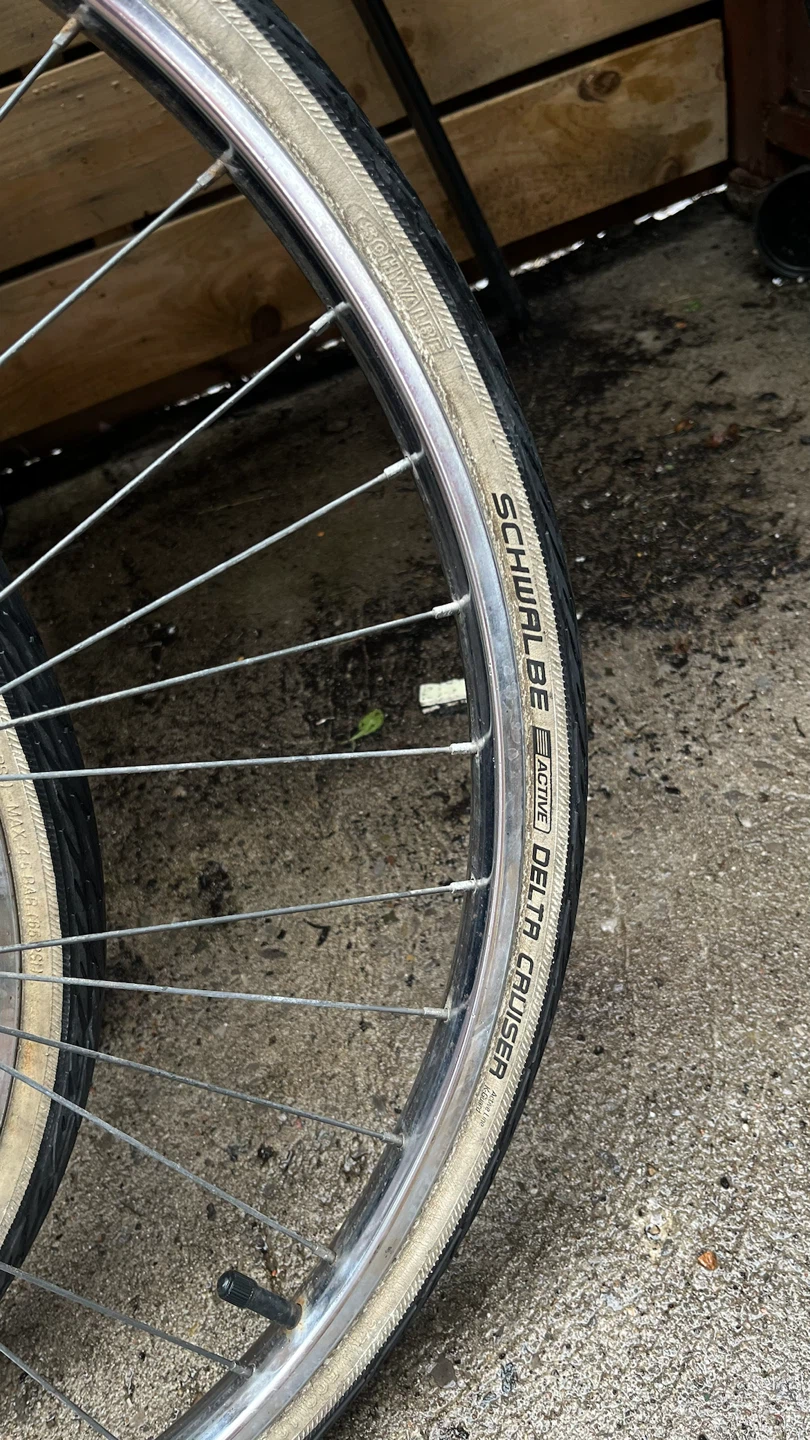 Schwalbe Delta Cruiser Bicycle Wheels - photo 2
