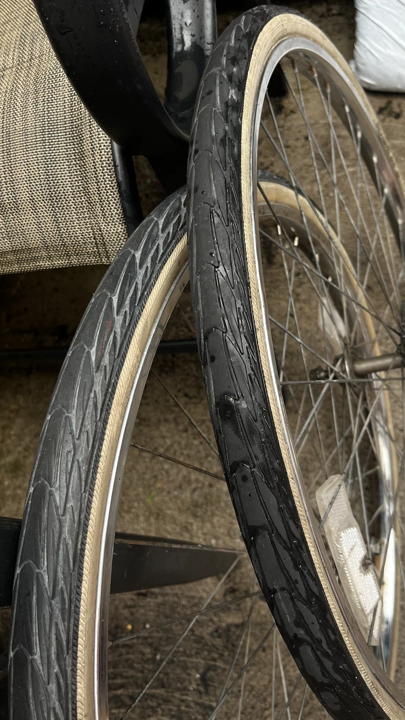 Schwalbe Delta Cruiser Bicycle Wheels - photo 3