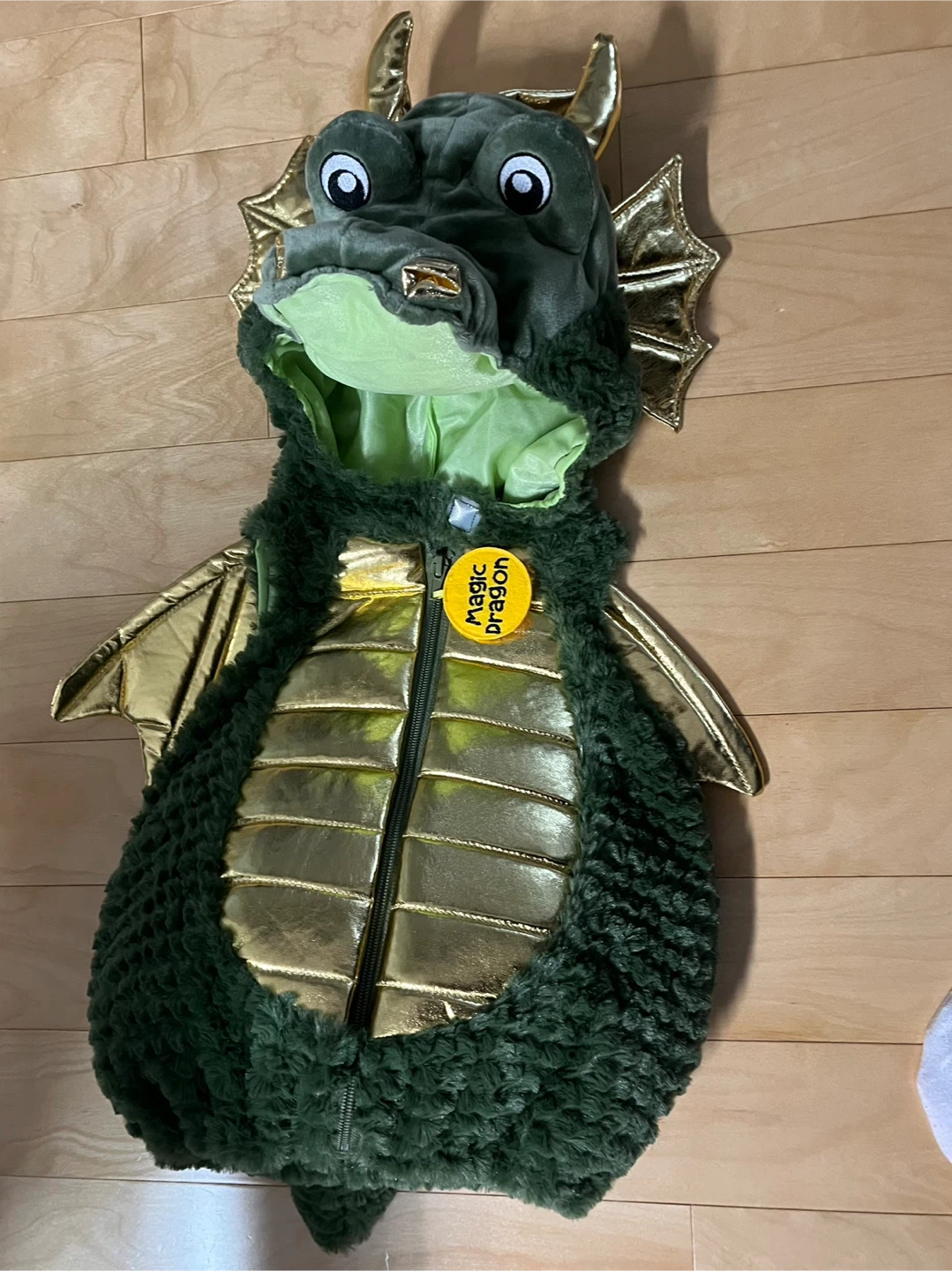 Magic Dragon Halloween Costume