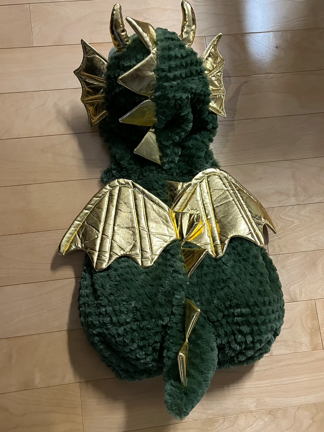 Magic Dragon Halloween Costume - photo 2