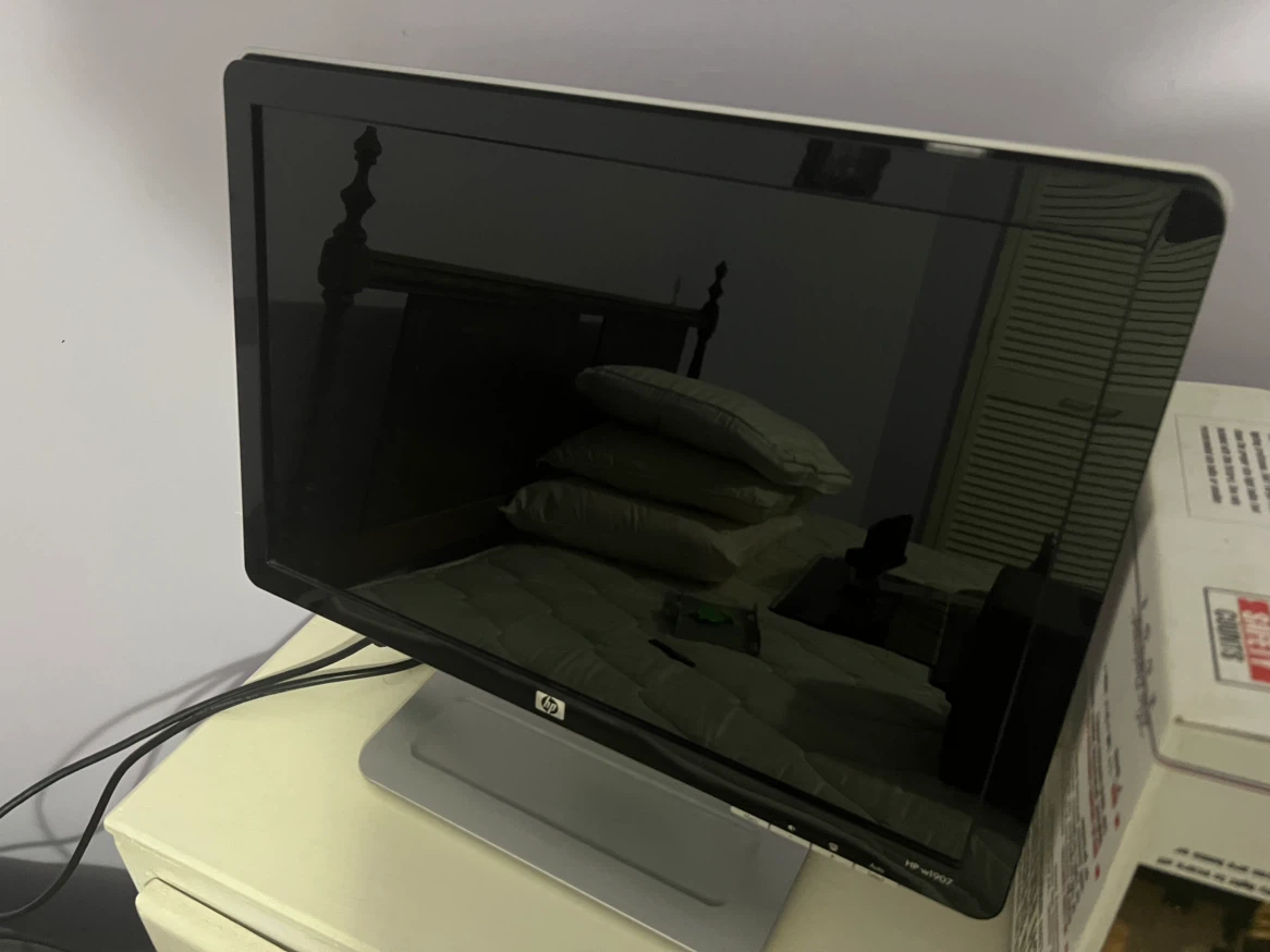 HP 18.5" LCD Monitor