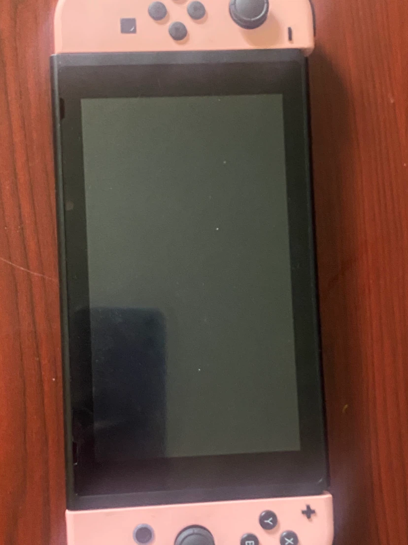 Nintendo Switch - photo 4