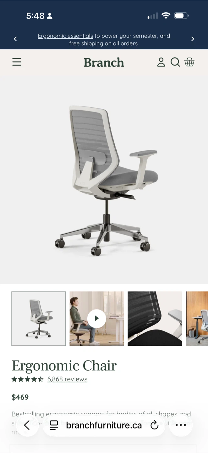 Branch Ergonomic Chair