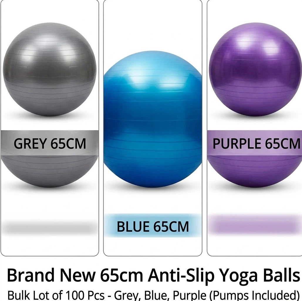 Brand New 65cm Yoga Exercise Balls Lot (100 Pcs)