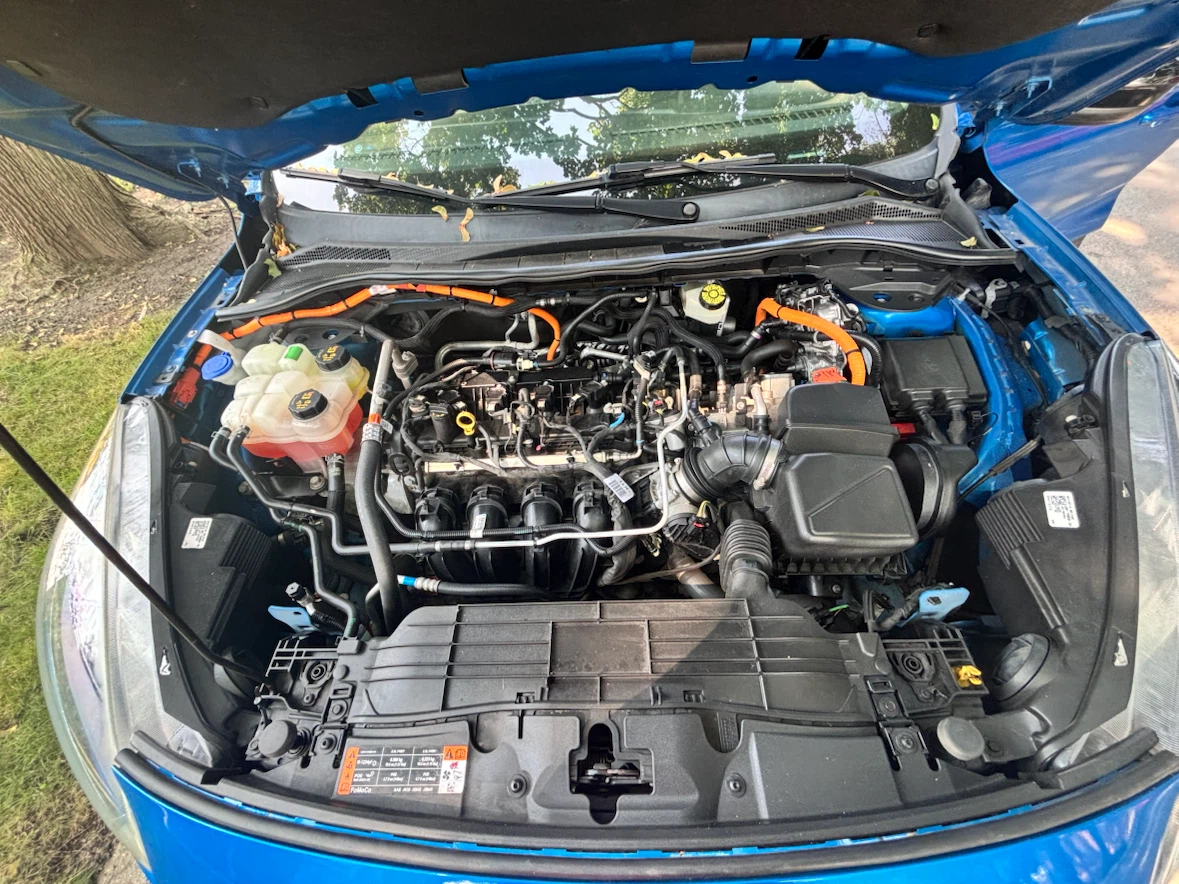 Ford Escape Blue SUV