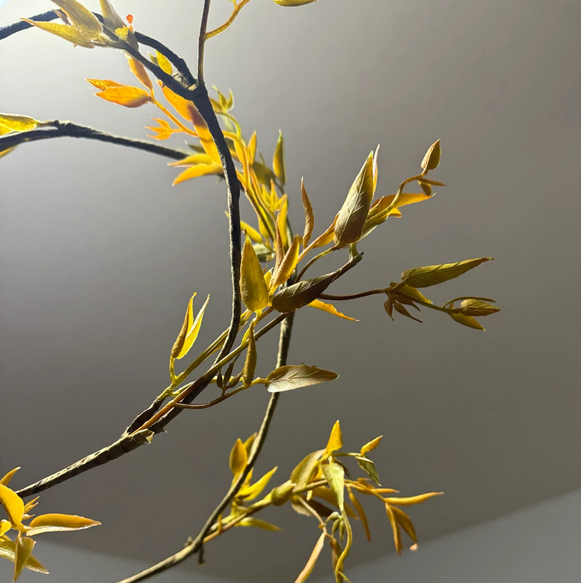 Fall Decorative bundle - photo 3