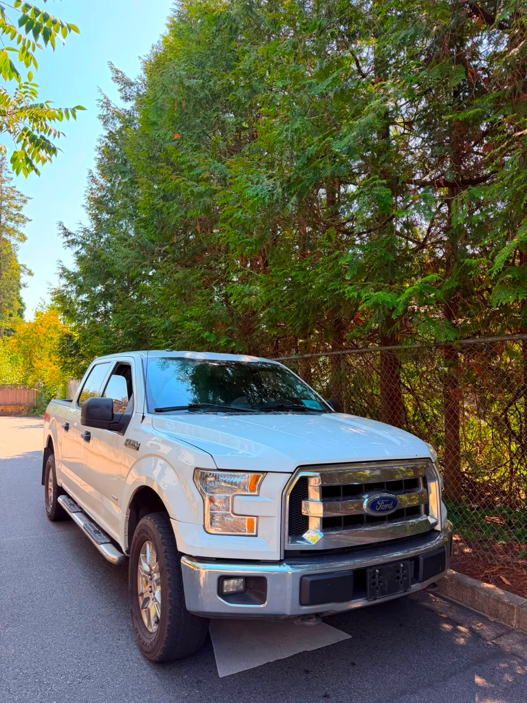 White Ford F-150 SuperCrew - photo 3
