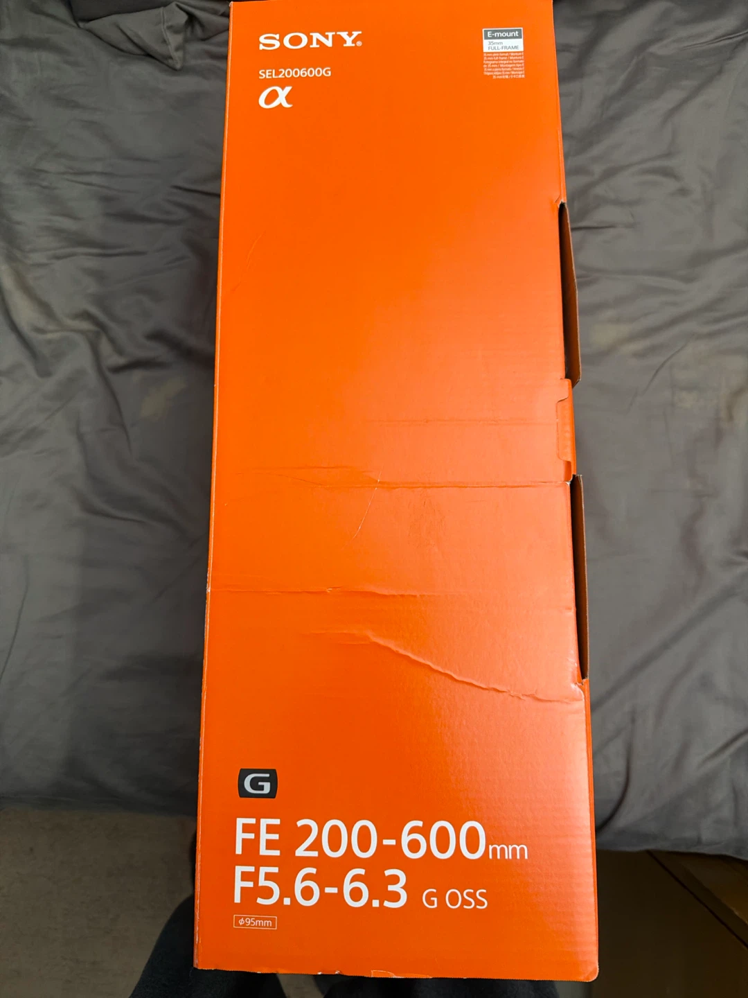 Sony 200-600mm - photo 4