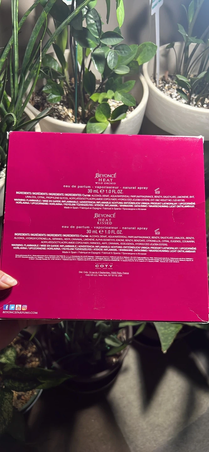 Beyonce’s Parfum Heat Set - photo 2