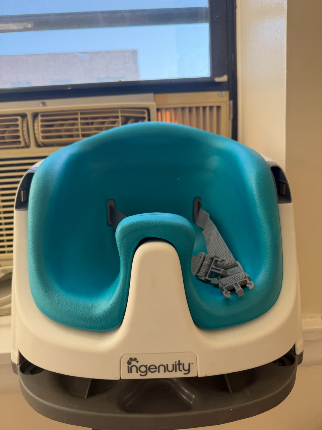Ingenuity Baby Booster Seat