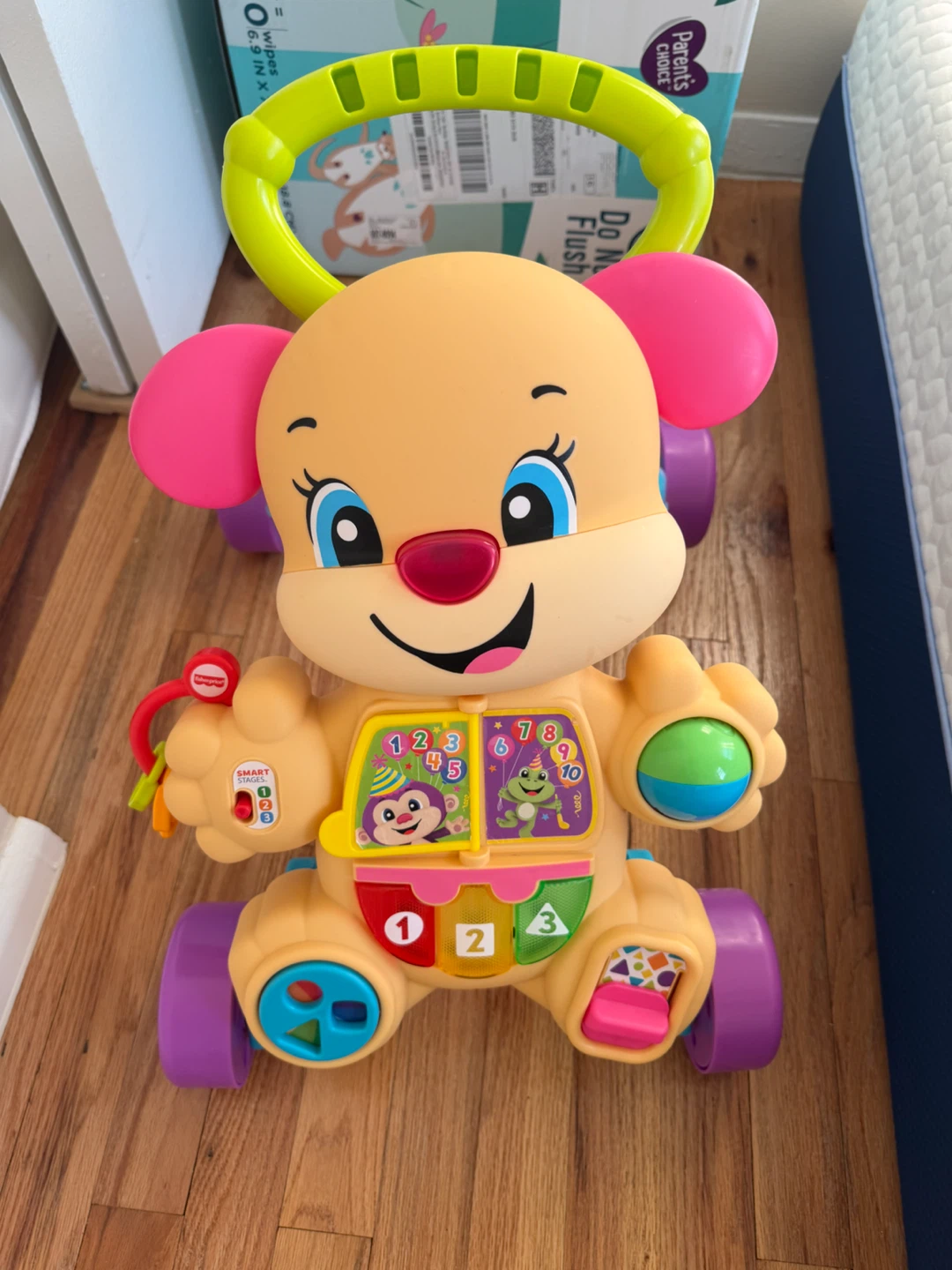 Fisher-Price Laugh & Learn Puppy Walker