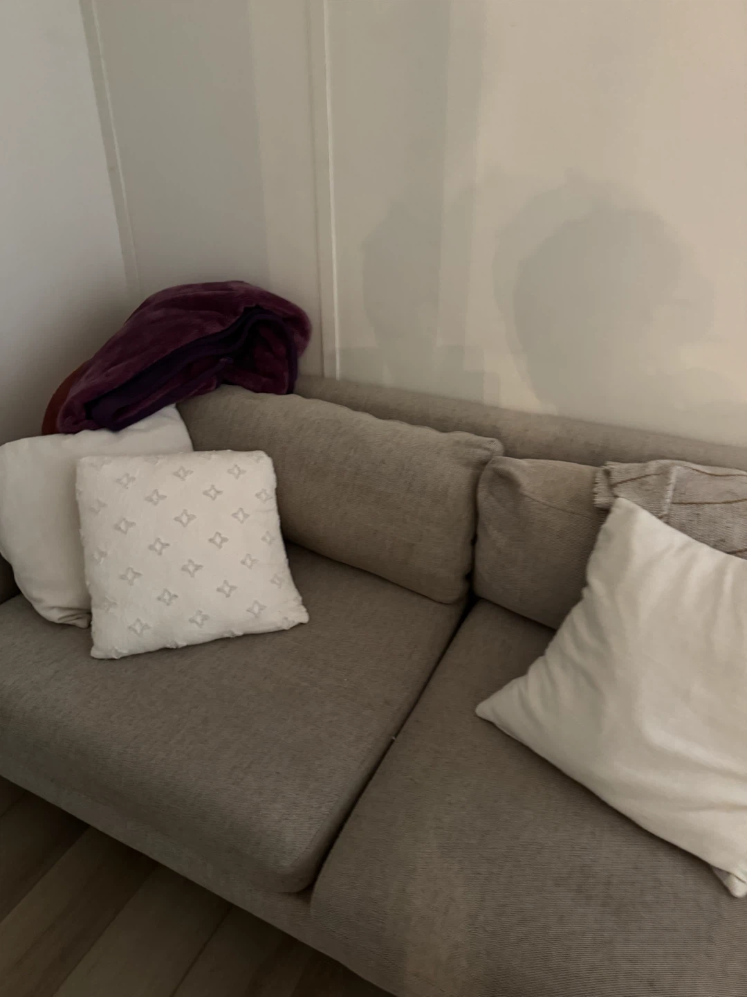 West Elm  Couch