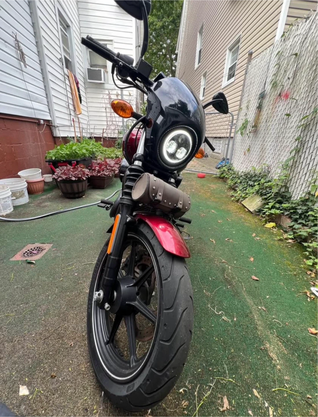 Harley-Davidson Street 750 Motorcycle - photo 4