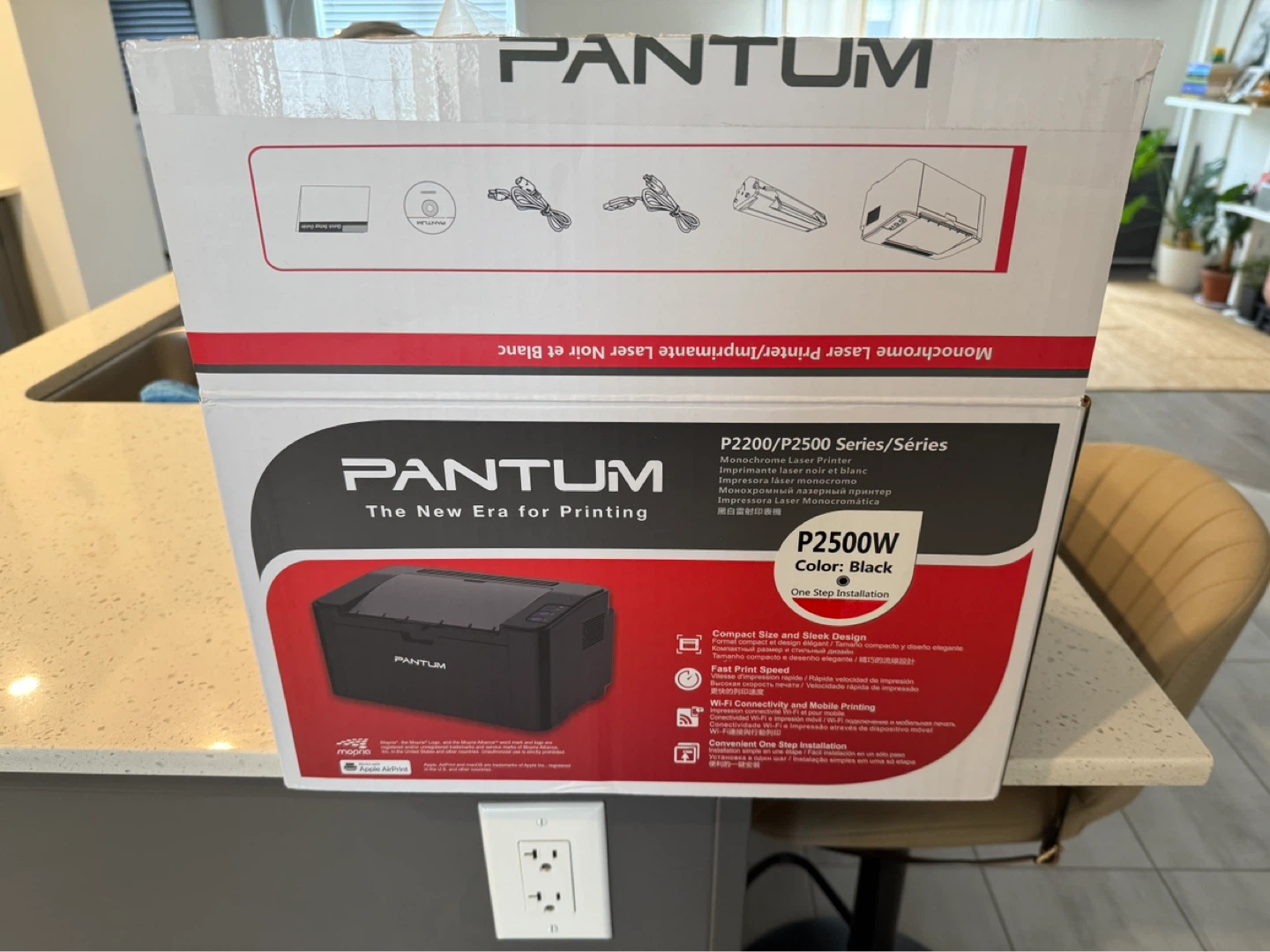 Pantum P2500W Laser Printer - photo 4