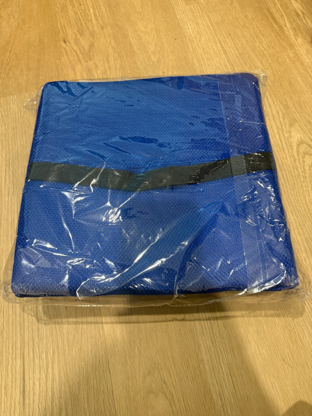 Blue Lumbar Support Cushion