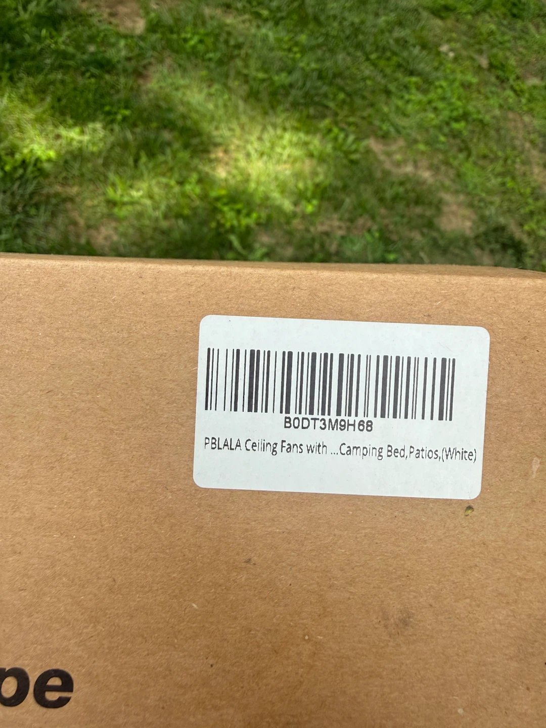 28" Fan Light - photo 4
