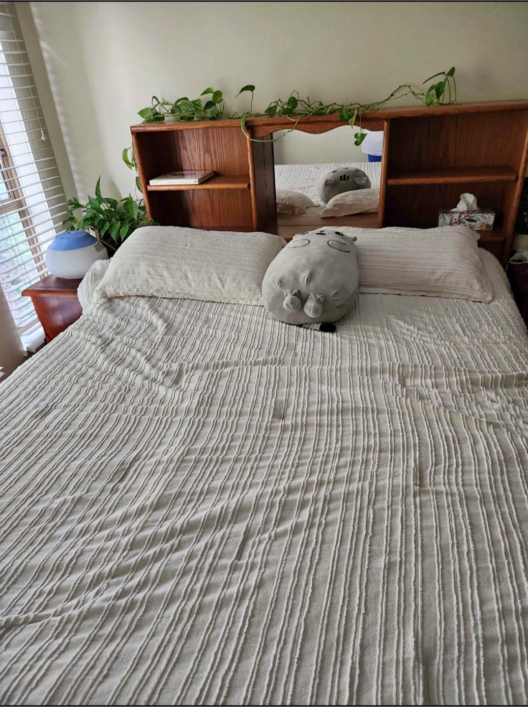 Queen size box bed