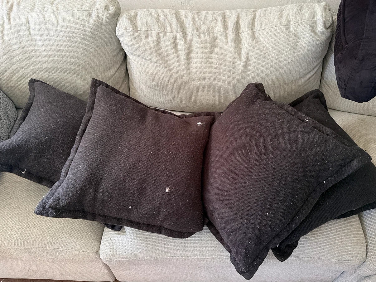 Set of 4 Square Black Throw Pillows