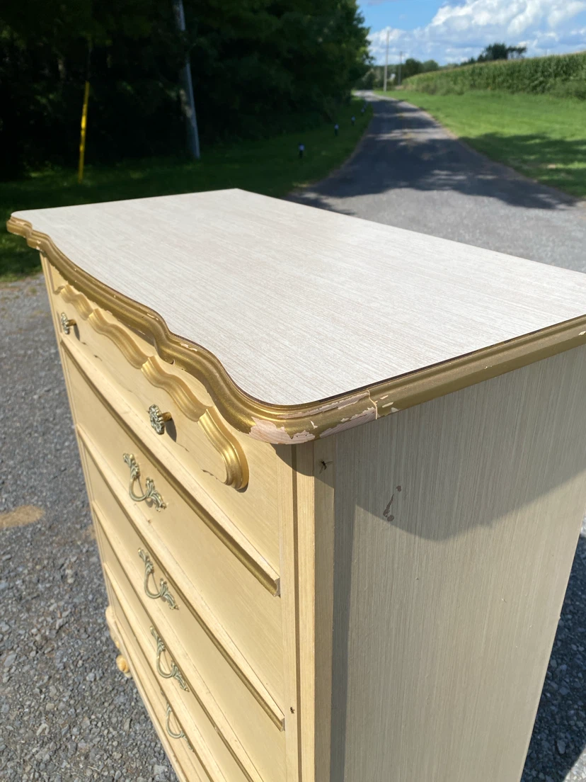 Vintage Bonnet by Sears French Tall Dresser (CAN DELIVER) - photo 5