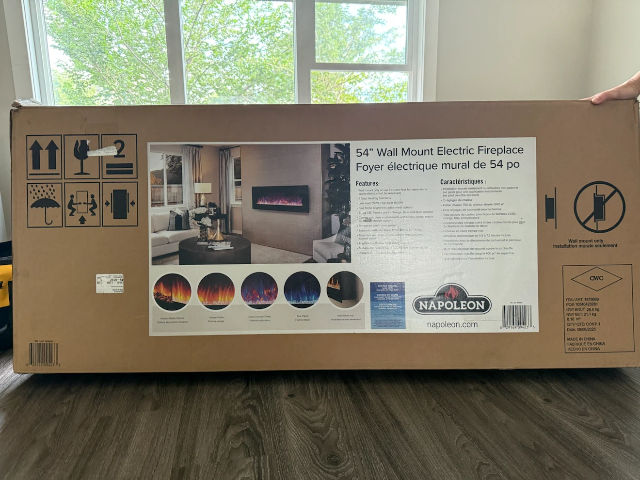 Napoleon 54" Wall Mount Electric Fireplace