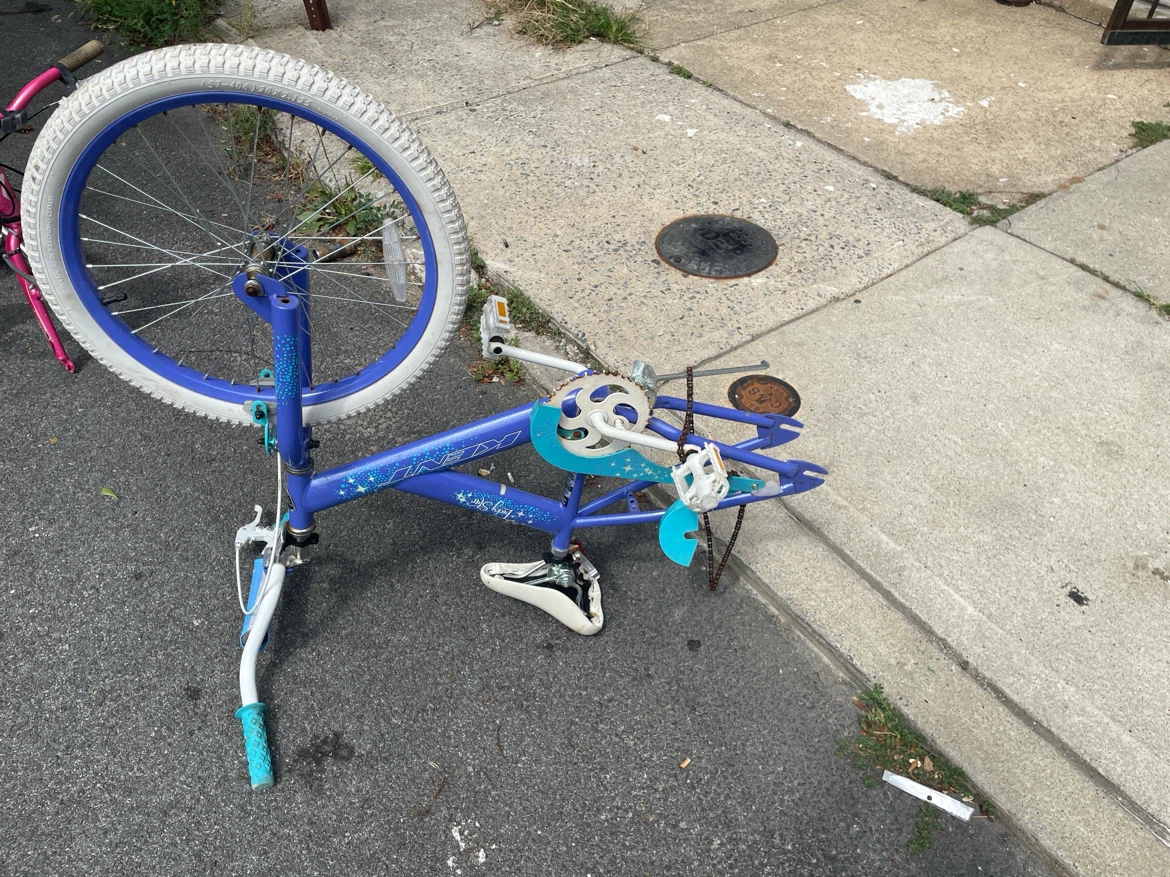 Kent Lucky Star Girls Bicycle Frame and Parts