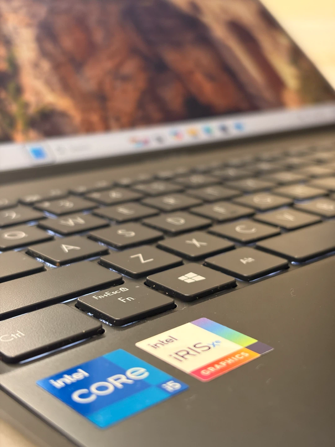 ASUS Zenbook 14-UX425EA Laptop — i5-11th Gen / 8Gb / 256Gb - photo 4