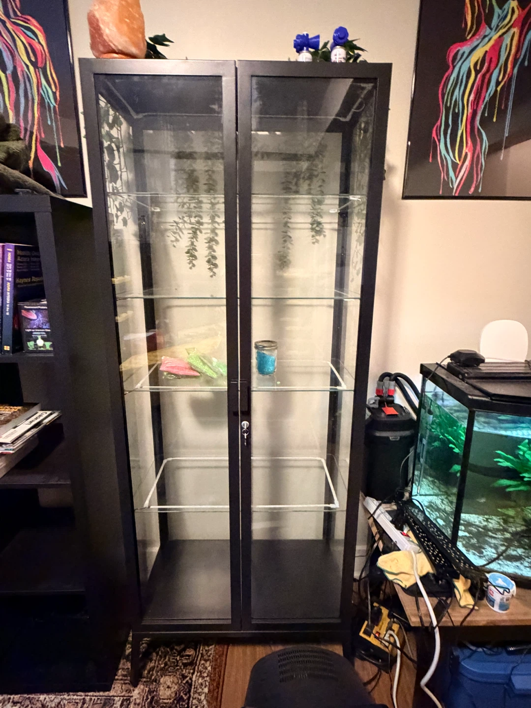Display Cabinet with Glass Shelves and LED Lights