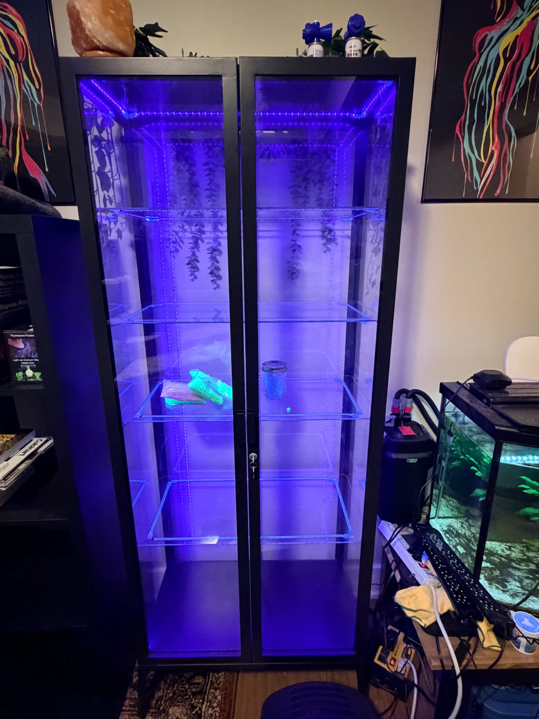 Display Cabinet with Glass Shelves and LED Lights - photo 2