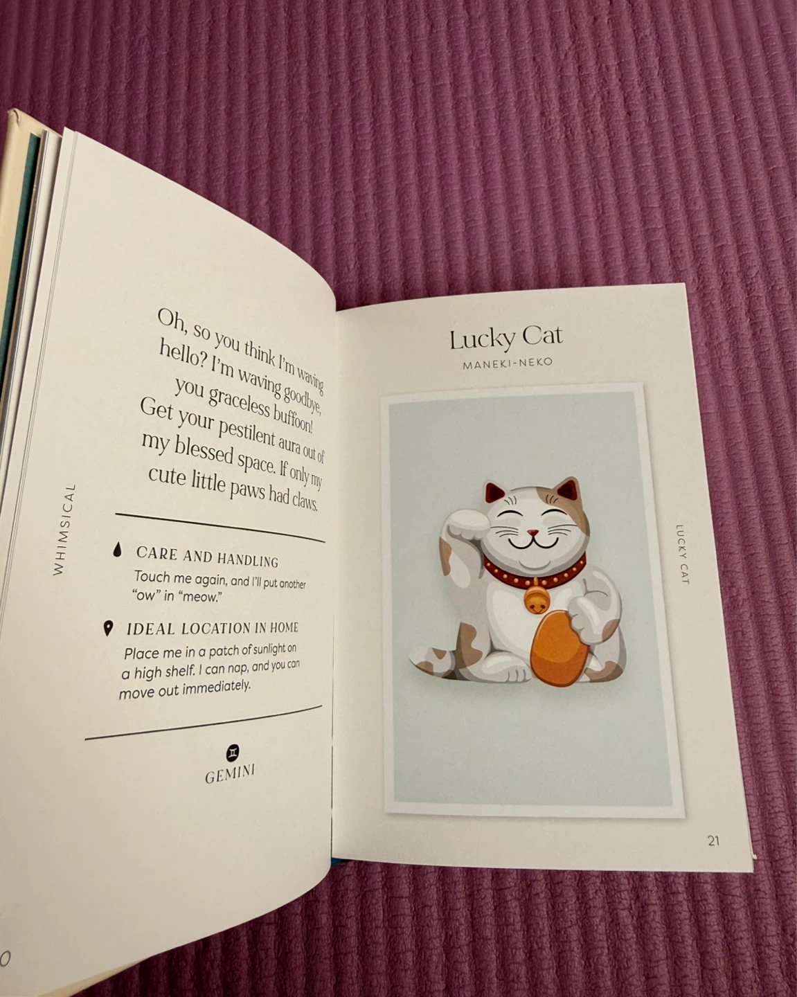 NEW✨Tchotchkes and Their F*cked-Up Thoughts Book - photo 2