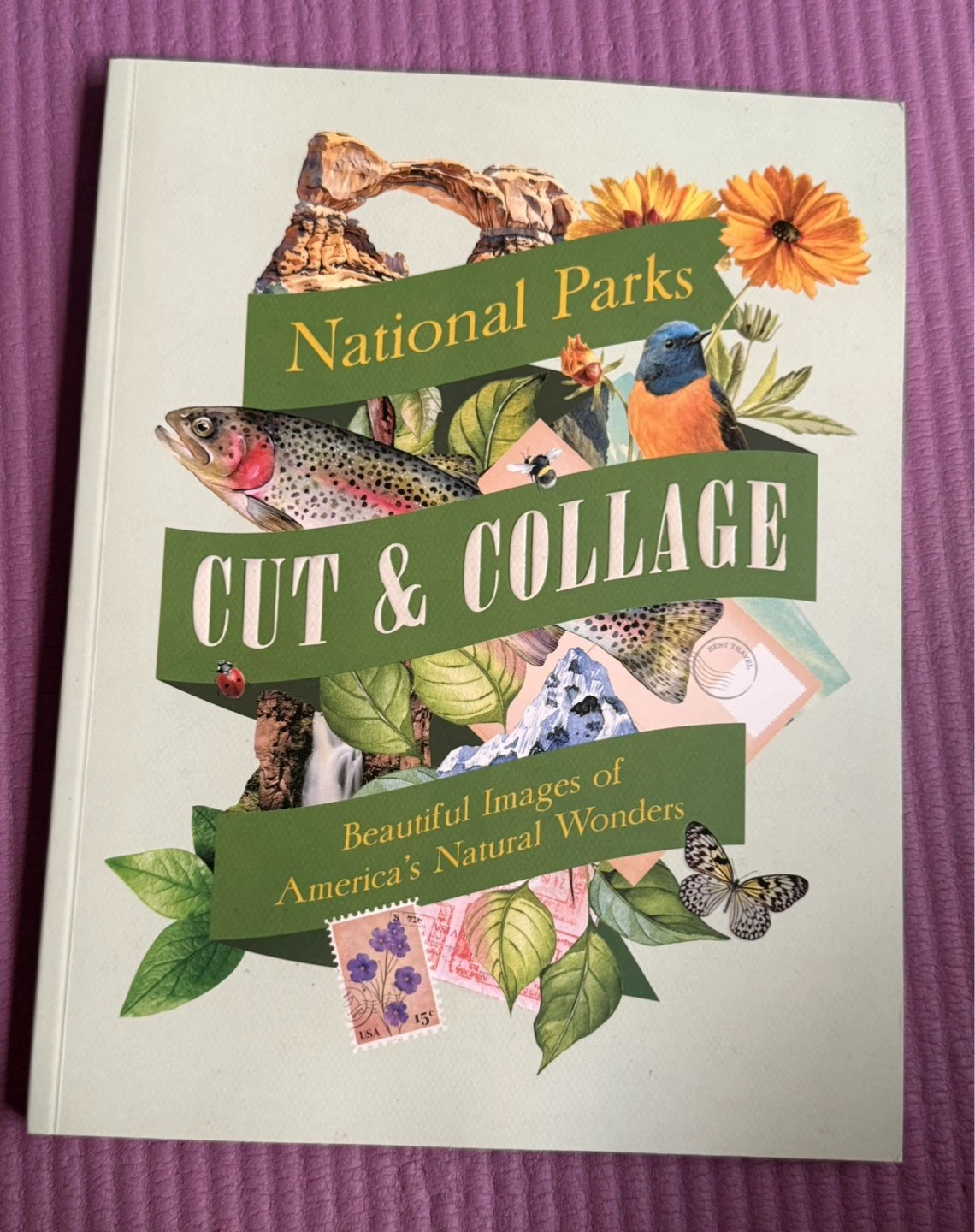 NEW✨National Parks Cut & Collage Book
