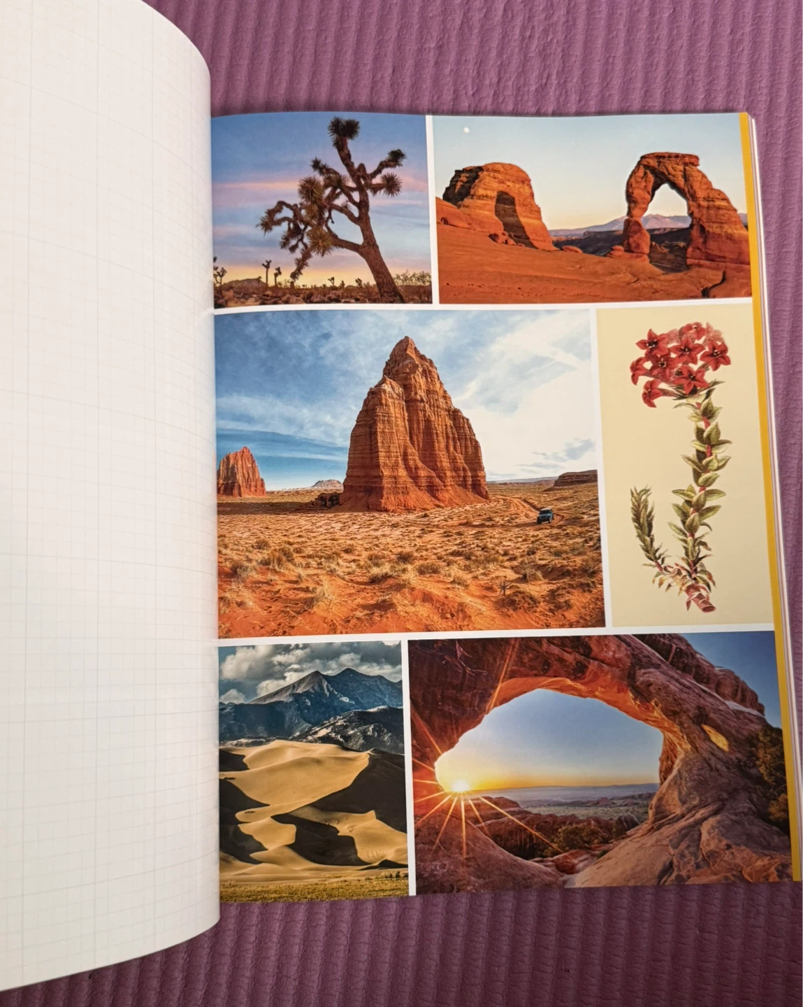 NEW✨National Parks Cut & Collage Book - photo 2