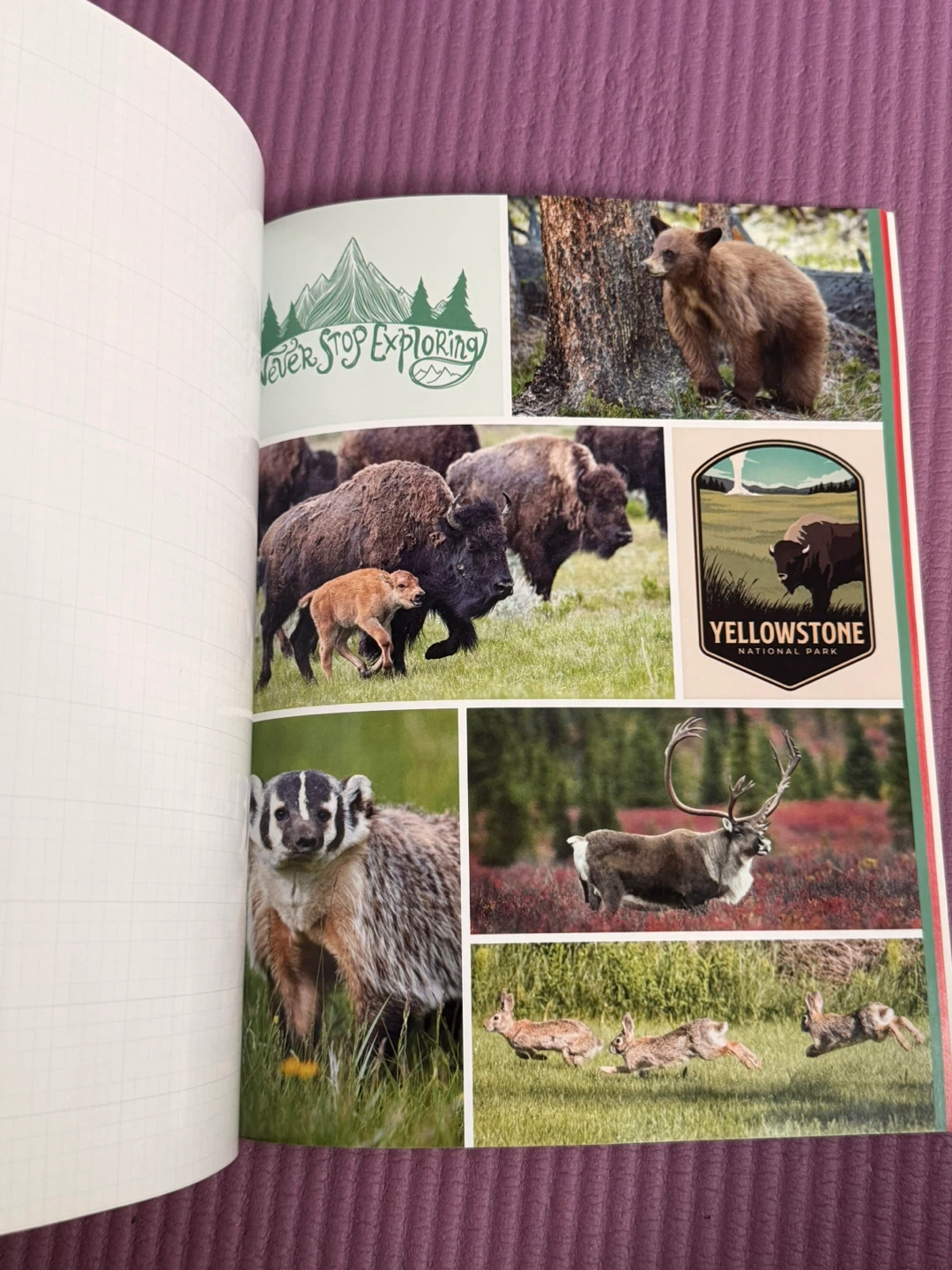NEW✨National Parks Cut & Collage Book - photo 3