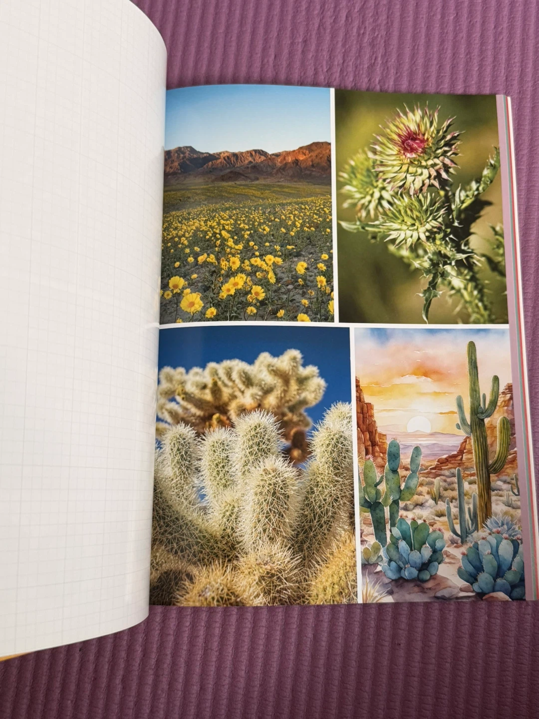 NEW✨National Parks Cut & Collage Book - photo 5