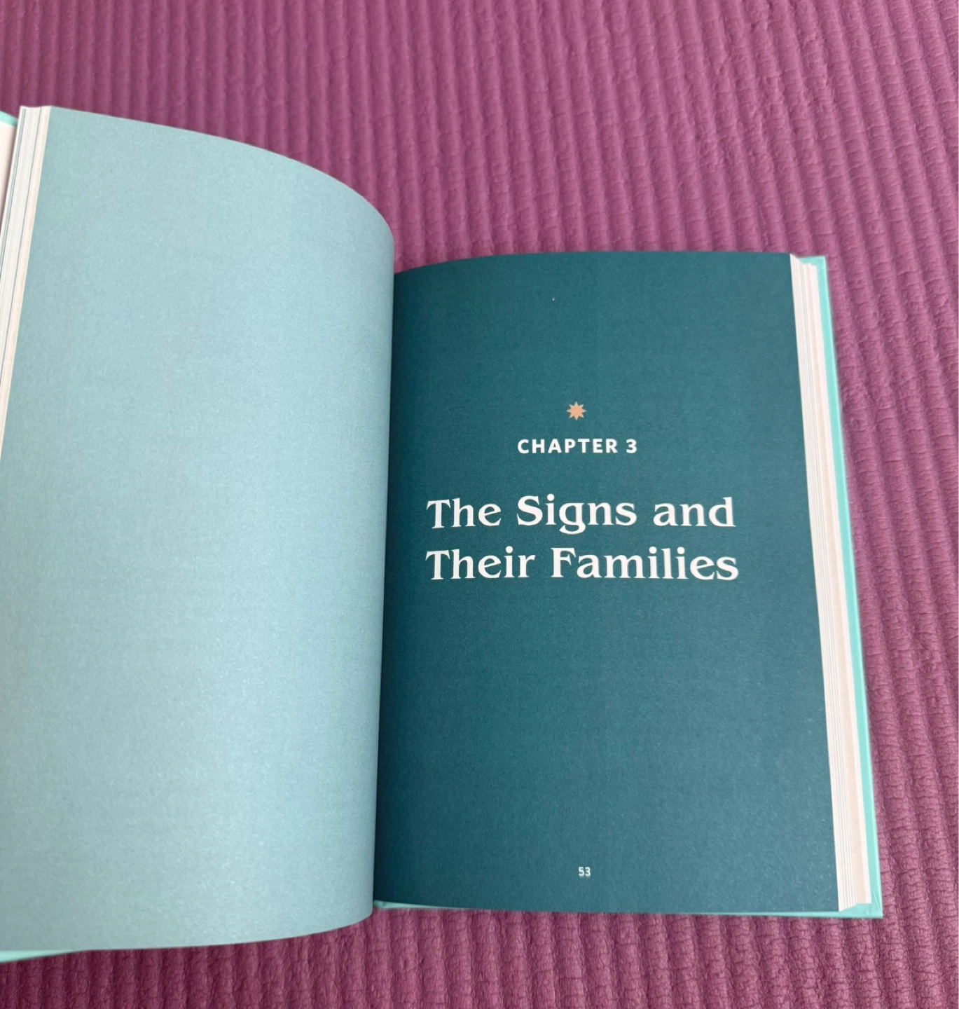 NEW✨Who Do the Stars Say You Are? Astrological Guide Book - photo 5